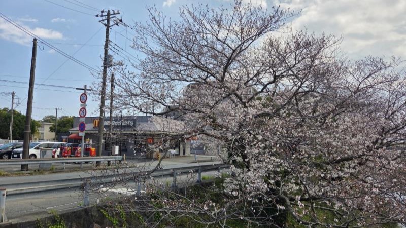 マクドナルド１号線酒匂店 アルバイト募集情報3